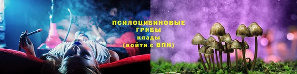 прущий лед Бронницы