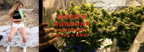 прущий лед Бронницы