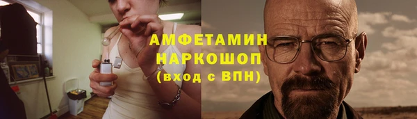 ешки Бородино
