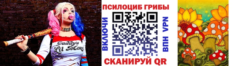 MEGA маркетплейс  магазин    Коммунар  Псилоцибиновые грибы Psilocybe 